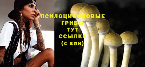 синтетический гашиш Алексин